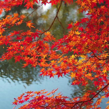 Stay Sakura Kyoto Nijo Castle West I ภายนอก รูปภาพ